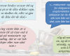 <p>Utdanningsprogrammet sliter med få søkere, høyt frafall – og stedvis skrantende lærling-ordning.</p>